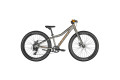 Велосипед SCOTT ROXTER 24 сірий KH 24