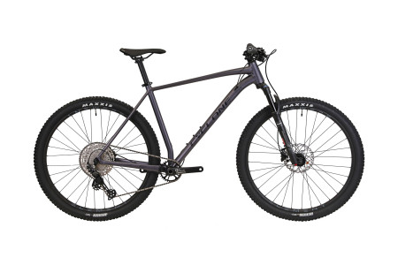 CYCLONE 29
