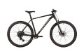 CYCLONE 29" AX M Чорний (мат)