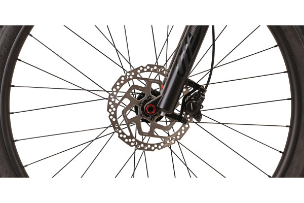CYCLONE 29" AX M Чорний (мат)