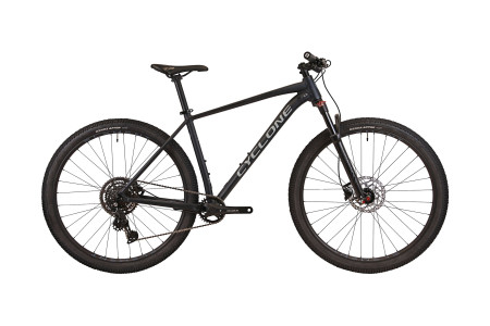 CYCLONE 29