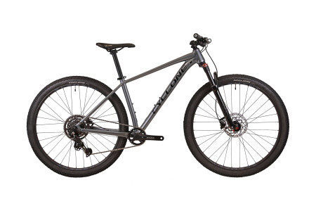 CYCLONE 29