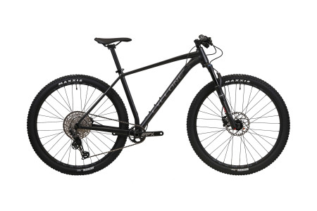 CYCLONE 29