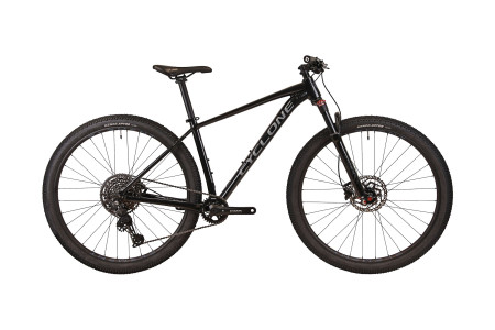 CYCLONE 29