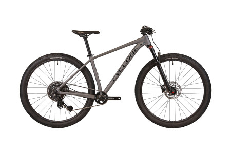 CYCLONE 29