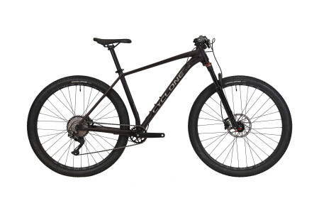 CYCLONE 29