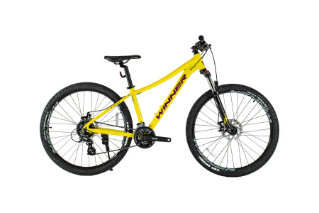 WINNER 27.5