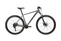 WINNER 29" SOLID-DX L Сірий (мат)