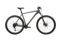 WINNER 29" SOLID-DX L Зелений (мат)