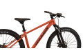 WINNER 26" SOLID - FX S Помаранчевий