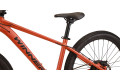 WINNER 26" SOLID - FX S Помаранчевий