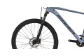 WINNER 29" SOLID-GT L - Cірий (мат)