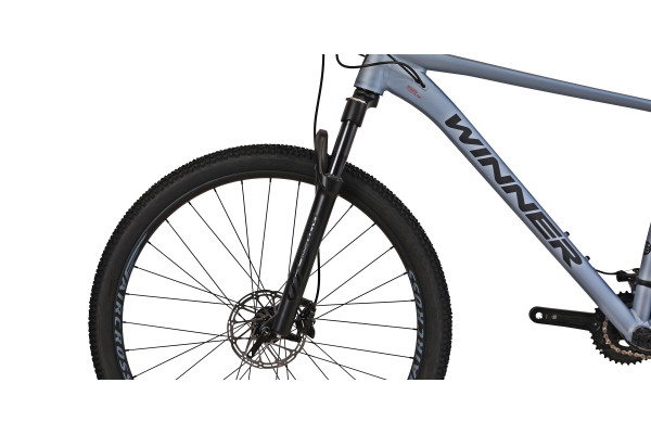 WINNER 29" SOLID-GT L - Cірий (мат)