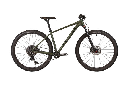 CYCLONE 29