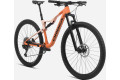 Велосипед ORBEA OIZ H30 L Apricot Orange-Limestone Beige (Matt) Велосипед ORBEA OIZ H30 L Apricot Orange-Limestone Beige (Matt)