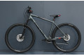 Гірський велосипед Focus Whistler 3.9 2019 XL Гірський велосипед Focus Whistler 3.9 2019 XL